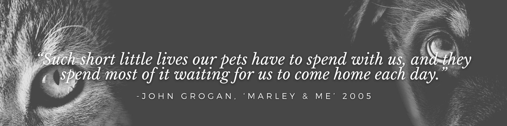 “Such short little lives our pets have to spend with us, and they spend most of it waiting for us to come home each day.” -	John Grogan, ‘Marley & Me’ 2005
