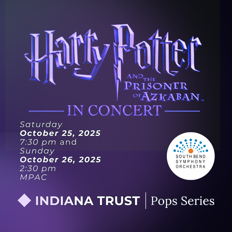 Harry Potter Concert Poster